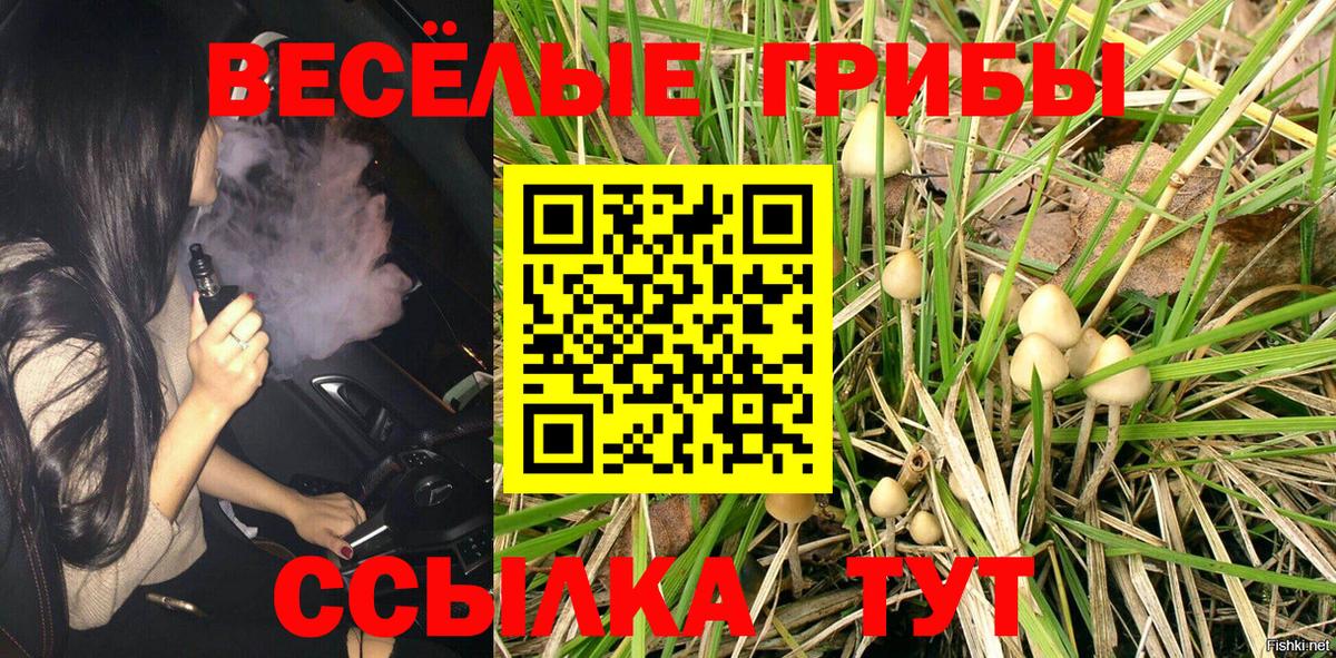 где купить наркоту  Галлюциногенные грибы Psilocybe  Вход с VPN  Галлюциногенные грибы Magic Shrooms  Сафоново 